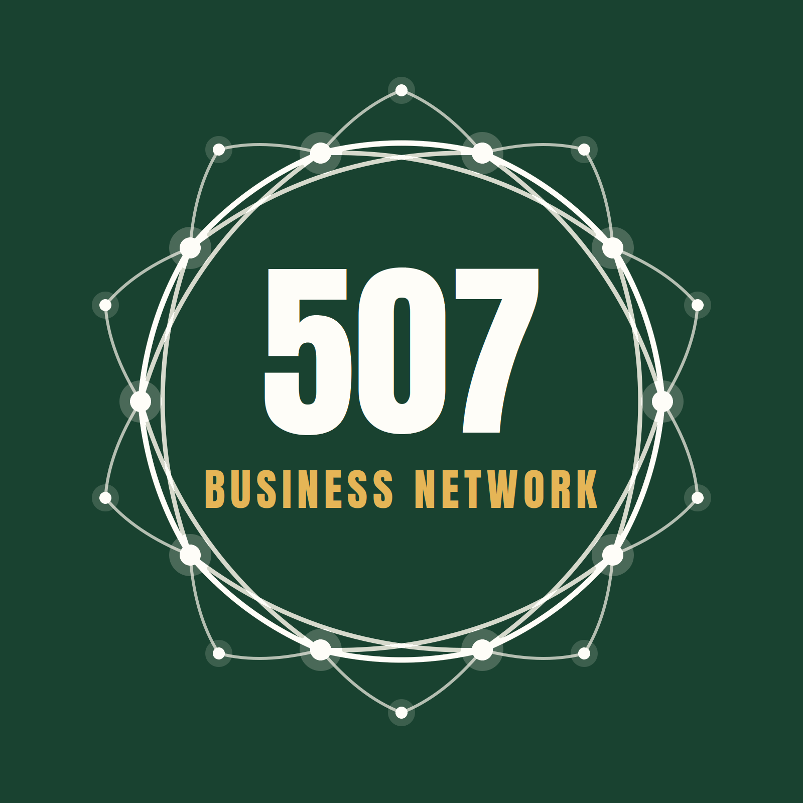 507 Business Network mark